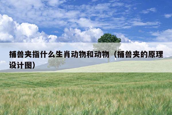 捕兽夹指什么生肖动物和动物（捕兽夹的原理设计图）