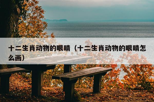 十二生肖动物的眼睛（十二生肖动物的眼睛怎么画）