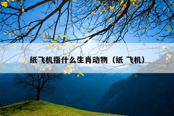 纸飞机指什么生肖动物（纸 飞机）