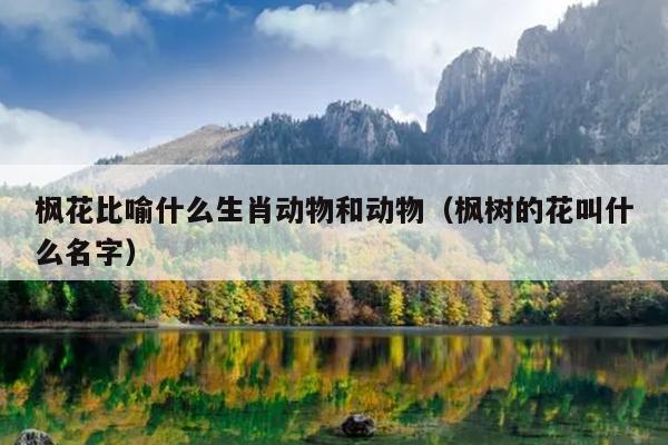 枫花比喻什么生肖动物和动物（枫树的花叫什么名字）