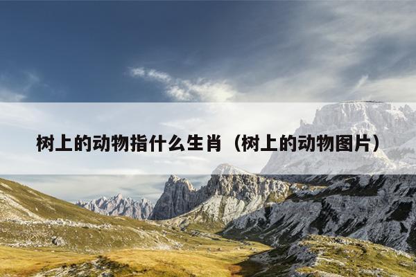 树上的动物指什么生肖（树上的动物图片）