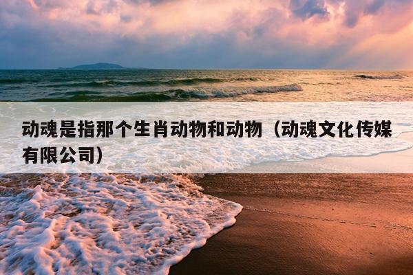 动魂是指那个生肖动物和动物（动魂文化传媒有限公司）