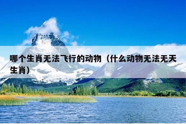 哪个生肖无法飞行的动物（什么动物无法无天生肖）