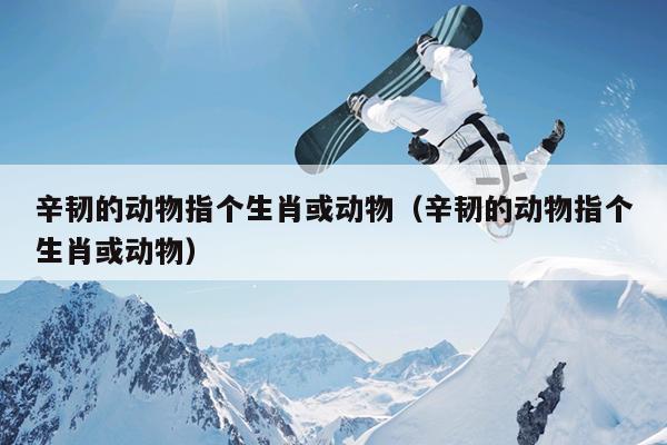 辛韧的动物指个生肖或动物（辛韧的动物指个生肖或动物）