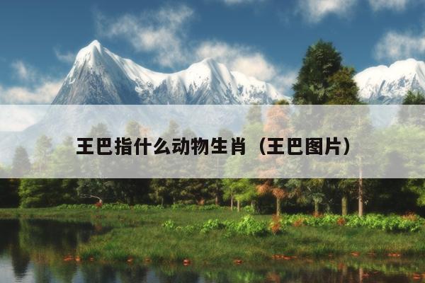 王巴指什么动物生肖（王巴图片）