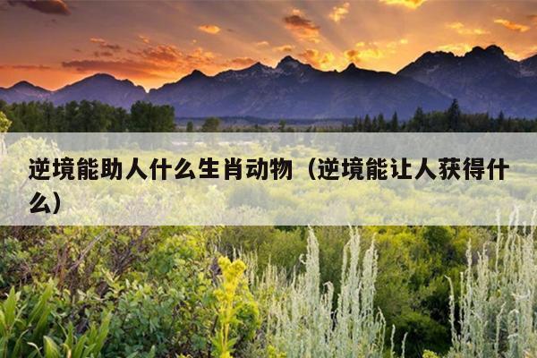 逆境能助人什么生肖动物（逆境能让人获得什么）