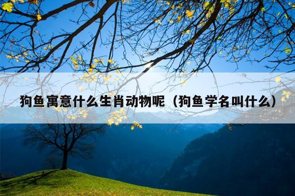 狗鱼寓意什么生肖动物呢（狗鱼学名叫什么）