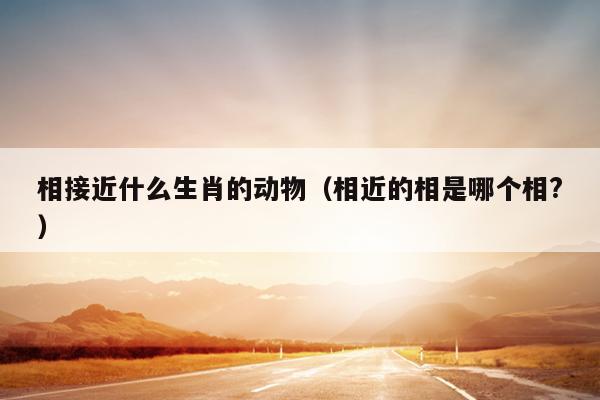 相接近什么生肖的动物（相近的相是哪个相?）