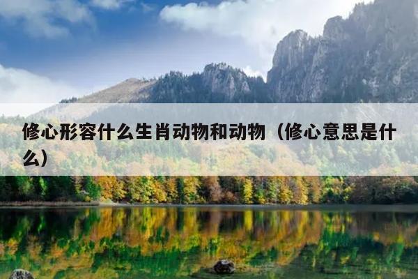 修心形容什么生肖动物和动物（修心意思是什么）