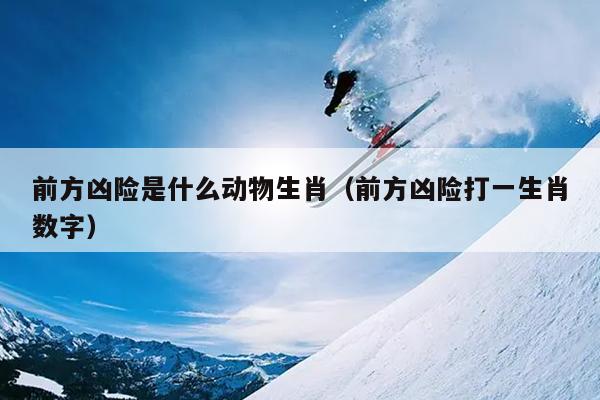 前方凶险是什么动物生肖（前方凶险打一生肖数字）