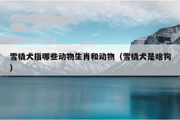 雪橇犬指哪些动物生肖和动物（雪橇犬是啥狗）
