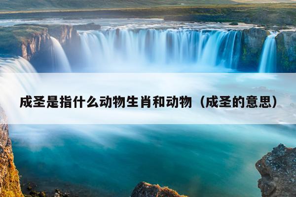 成圣是指什么动物生肖和动物（成圣的意思）