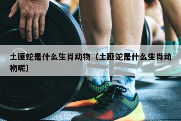 土匪蛇是什么生肖动物（土匪蛇是什么生肖动物呢）