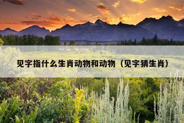 见字指什么生肖动物和动物（见字猜生肖）