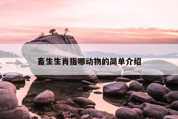 畜生生肖指哪动物的简单介绍