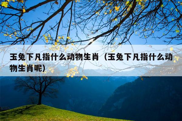玉兔下凡指什么动物生肖（玉兔下凡指什么动物生肖呢）