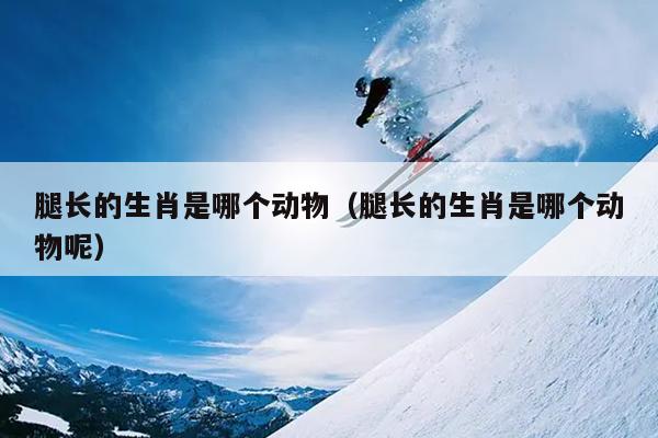 腿长的生肖是哪个动物（腿长的生肖是哪个动物呢）