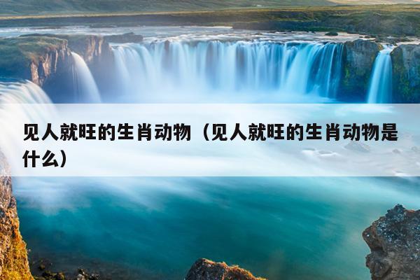 见人就旺的生肖动物（见人就旺的生肖动物是什么）