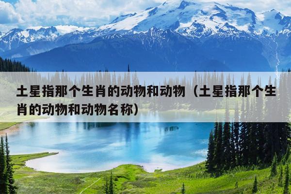 土星指那个生肖的动物和动物（土星指那个生肖的动物和动物名称）