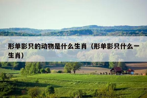 形单影只的动物是什么生肖（形单影只什么一生肖）