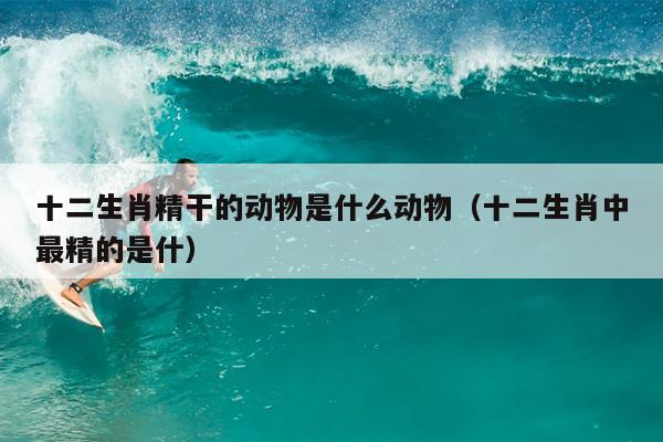 十二生肖精干的动物是什么动物（十二生肖中最精的是什）