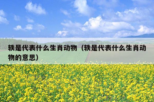 轶是代表什么生肖动物（轶是代表什么生肖动物的意思）
