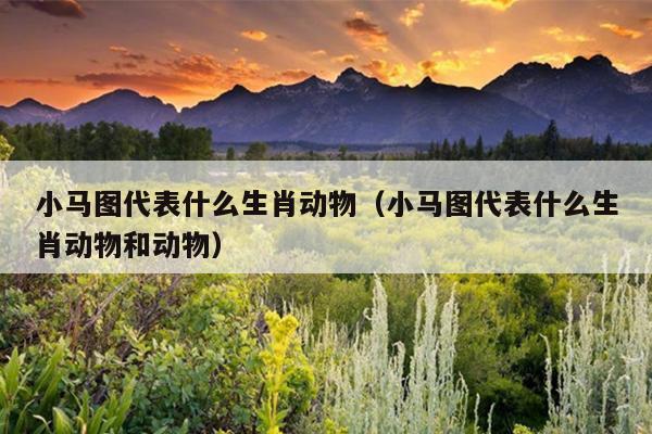 小马图代表什么生肖动物（小马图代表什么生肖动物和动物）