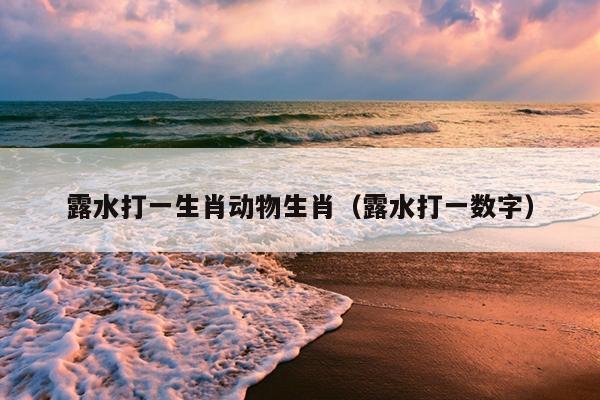 露水打一生肖动物生肖（露水打一数字）