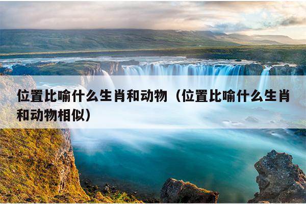 位置比喻什么生肖和动物（位置比喻什么生肖和动物相似）