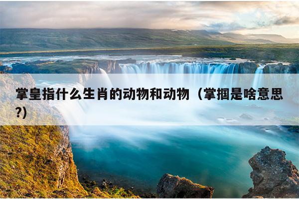 掌皇指什么生肖的动物和动物（掌掴是啥意思?）
