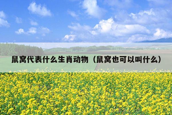 鼠窝代表什么生肖动物（鼠窝也可以叫什么）