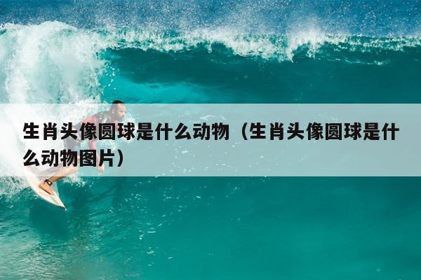 生肖头像圆球是什么动物（生肖头像圆球是什么动物图片）