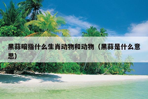 黑蒜暗指什么生肖动物和动物（黑蒜是什么意思）