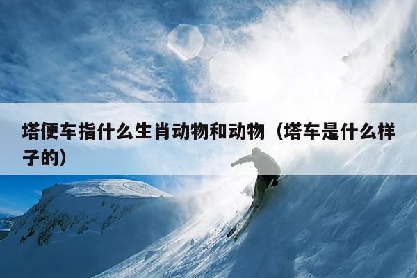 塔便车指什么生肖动物和动物（塔车是什么样子的）