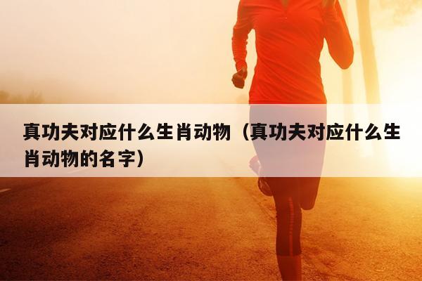 真功夫对应什么生肖动物（真功夫对应什么生肖动物的名字）