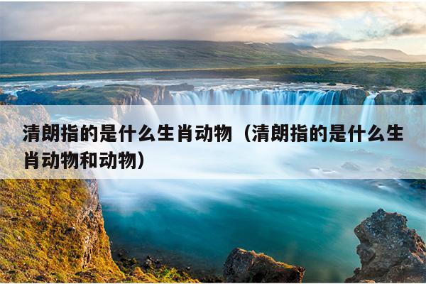 清朗指的是什么生肖动物（清朗指的是什么生肖动物和动物）