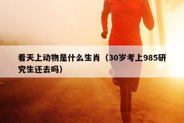 看天上动物是什么生肖（30岁考上985研究生还去吗）