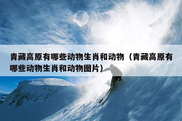 青藏高原有哪些动物生肖和动物（青藏高原有哪些动物生肖和动物图片）