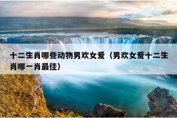 十二生肖哪些动物男欢女爱（男欢女爱十二生肖哪一肖最佳）