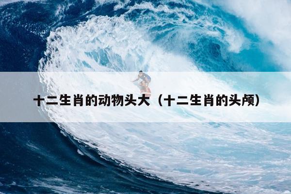 十二生肖的动物头大（十二生肖的头颅）