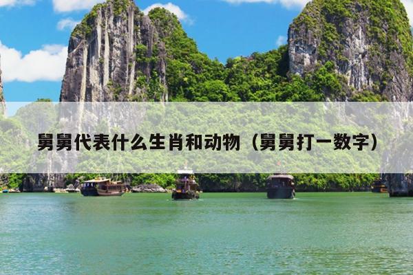 舅舅代表什么生肖和动物（舅舅打一数字）