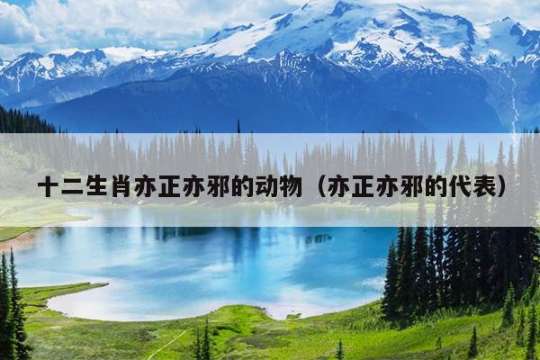 十二生肖亦正亦邪的动物（亦正亦邪的代表）