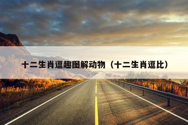 十二生肖逗趣图解动物（十二生肖逗比）