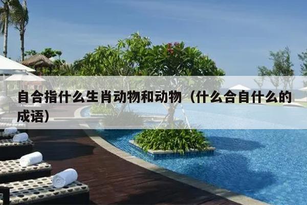 自合指什么生肖动物和动物（什么合自什么的成语）