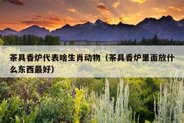 茶具香炉代表啥生肖动物（茶具香炉里面放什么东西最好）