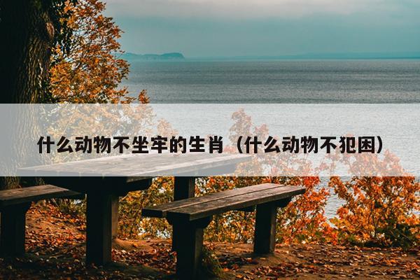 什么动物不坐牢的生肖（什么动物不犯困）