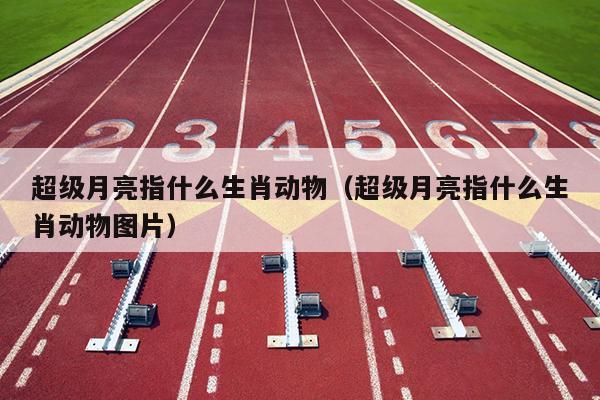超级月亮指什么生肖动物（超级月亮指什么生肖动物图片）