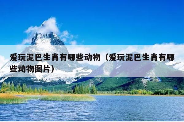 爱玩泥巴生肖有哪些动物（爱玩泥巴生肖有哪些动物图片）