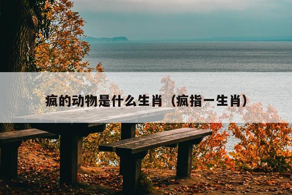 疯的动物是什么生肖（疯指一生肖）