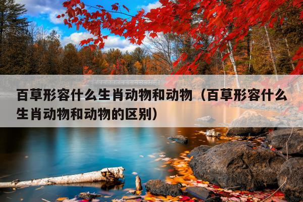 百草形容什么生肖动物和动物（百草形容什么生肖动物和动物的区别）